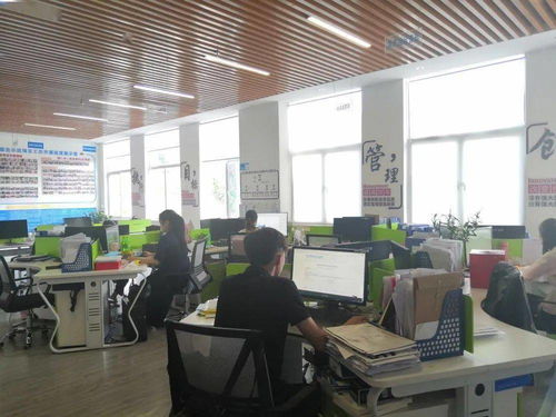 保亭县电子商务公共服务中心诚邀英才，共促商务信息咨询服务发展