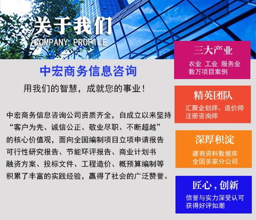 邹平商业计划书专业代写与商务信息咨询服务企划案